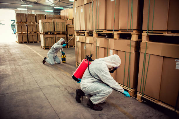 Best Wasp Removal Services  in South Monrovia Island, CA