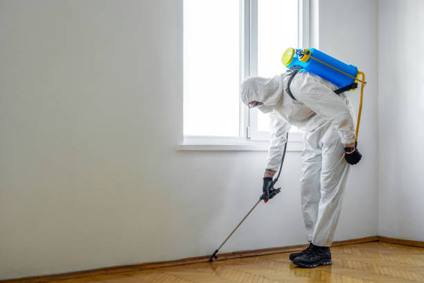 Best Emergency Pest Control  in South Monrovia Island, CA