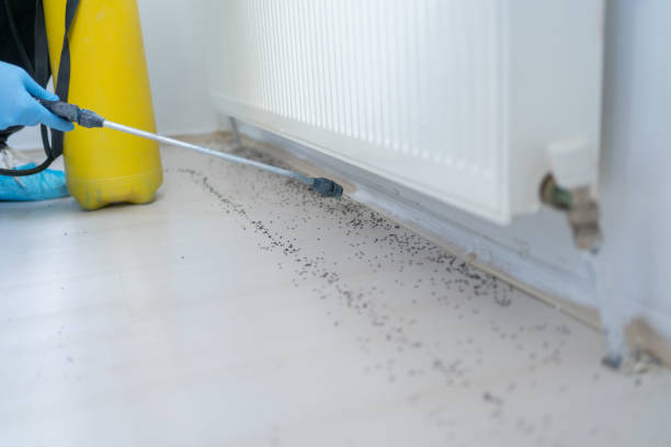 Best Pest Removal Services  in South Monrovia Island, CA