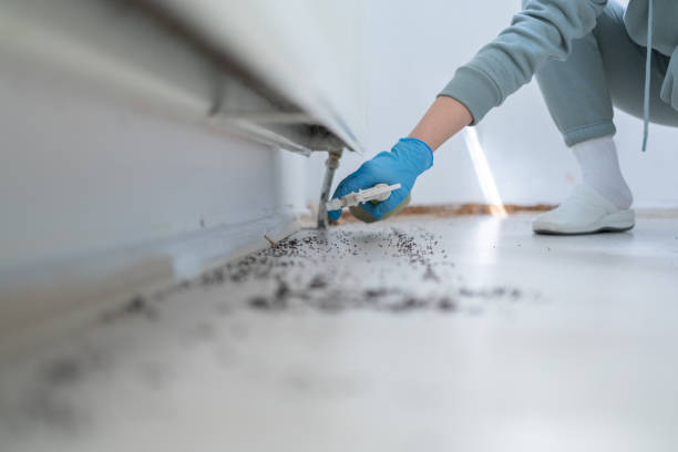 Reliable South Monrovia Island, CA Pest Control Solutions